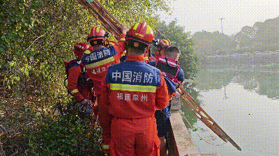 夫妻吵架起争执，竟双双跳河！结果……