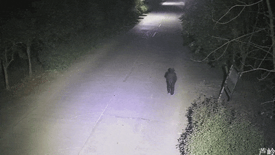 老人骑三轮撞倒老人后逃逸，交警连夜破案