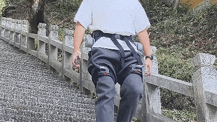 广州这条40公里森林步道，正式开放！