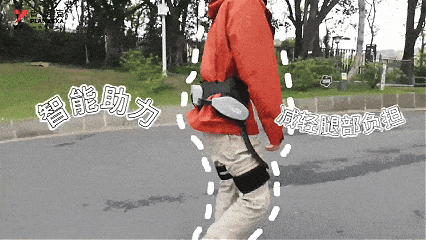 广州这条40公里森林步道，正式开放！