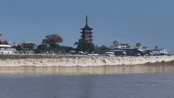 春假来了!浙江这些景区对中小学生免费 春假来了!浙江这些景区对中小学生免费