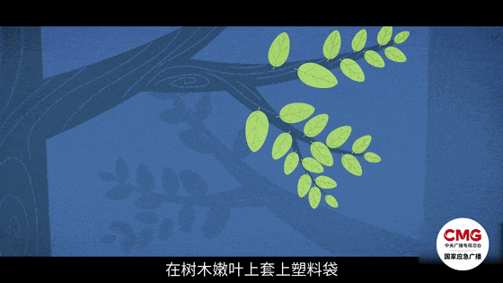 直接向任性“驴友”追偿救援费！野山勿攀