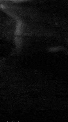 凌晨2点，他跳下去救人，发现水里还有一个老熟人……