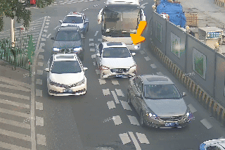 春季警惕“病驾”！