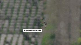 上海一墓园清明前诡异一幕！2人被抓获！网友怒了：太缺德！