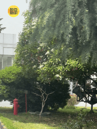 扬沙浮尘马上就到！快关窗户，西安发布沙尘暴预警→