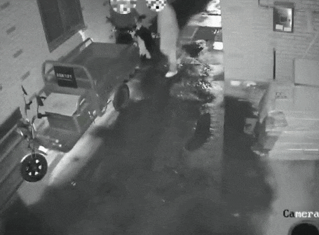 三名老乡来杭打工,进厂没几天嫌累辞职,手头钱花光后,4天盗走8台电动车电瓶 三名老乡来杭打工,进厂没几天嫌累辞职,手头钱花光后,4天盗走8台电动车电瓶