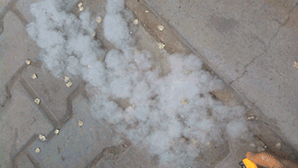 即将集中爆发！上海每个区几乎都有……警惕，可瞬间轰燃一片