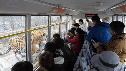 黑龙江清明旅游热度不减：哈尔滨成春假亲子游热门长线目的地