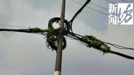 上海这条马路半空挂着啥？经过的人都得看两眼！原因绝对想不到…