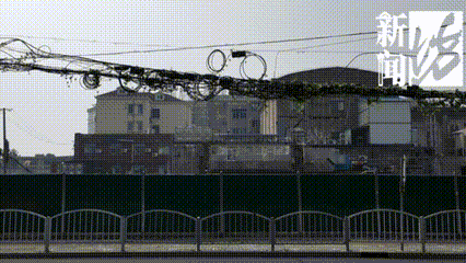 上海这条马路半空挂着啥？经过的人都得看两眼！原因绝对想不到…