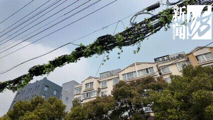 上海这条马路半空挂着啥？经过的人都得看两眼！原因绝对想不到…