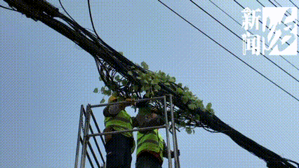 上海这条马路半空挂着啥？经过的人都得看两眼！原因绝对想不到…