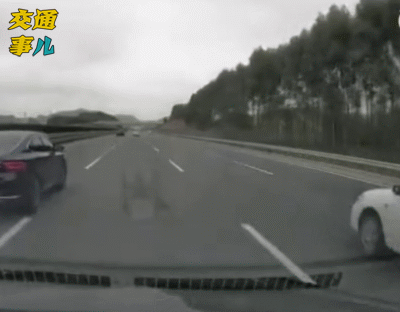 没撞上≠没责任！什么是“无接触交通事故”你知道吗？