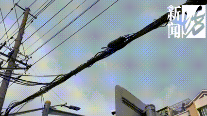 上海这条马路半空挂着啥？经过的人都得看两眼！原因绝对想不到…