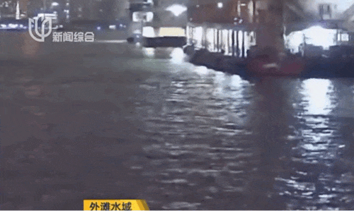 情况紧急！黄浦江外滩水域，千吨货船失控狂飙，冲向码头！公安硬控2公里...