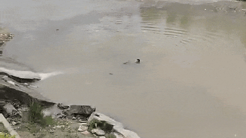 “前浪”“后浪”皆英雄！为退休民警和“00后”新警点赞！