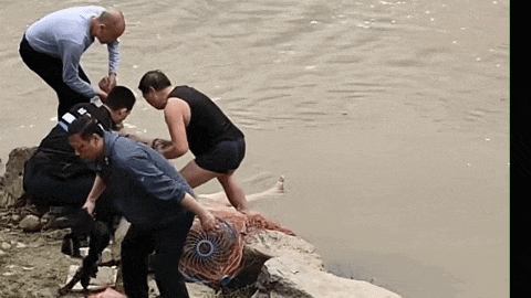 “前浪”“后浪”皆英雄！为退休民警和“00后”新警点赞！