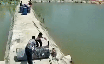 拘留12日!又是这个操作惹的祸…… 拘留12日!又是这个操作惹的祸……