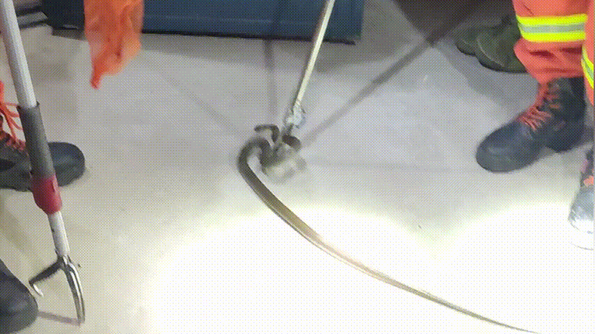 天气回暖,江西多地频繁“蛇出没” !小心! 天气回暖,江西多地频繁“蛇出没” !小心!