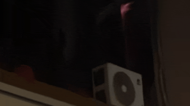 理疗店突发火情，竟是它在偷偷闯祸！