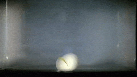 重要提醒：千万别在燃气灶旁做面食，会爆炸！