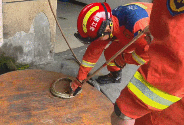 杭州村民报警，家里养鸽厂闯进一条蛇！消防提醒：气温回升，近期频发……