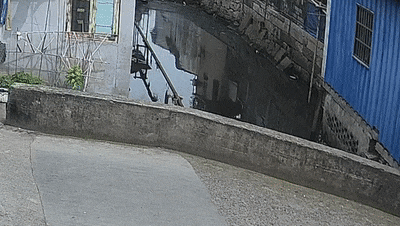 立大功！12岁黄子轩，危急时刻成功救回一条生命