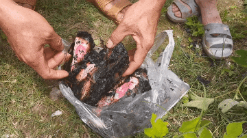 面馆深夜起大火，只怪老板太“能干”