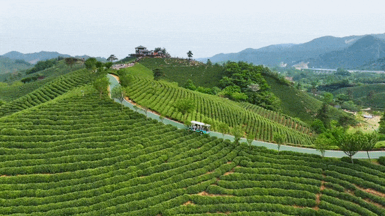 即将首发，全列卧铺+独立卫浴