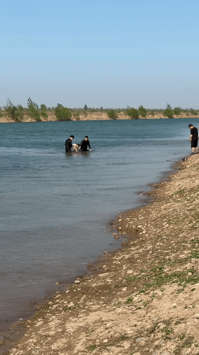 一名陕西游客落水，两名石家庄人同时跳了下去……