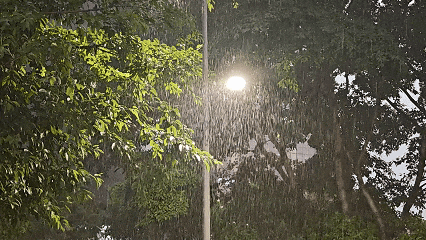 暴雨黄色预警生效！全市进入暴雨戒备状态！下班注意安全！