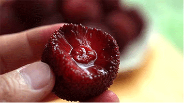 观鸟、赏花、追“蓝眼泪”……五一假期，来浙江解锁这些玩法！