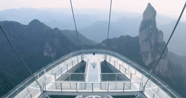 观鸟、赏花、追“蓝眼泪”……五一假期，来浙江解锁这些玩法！