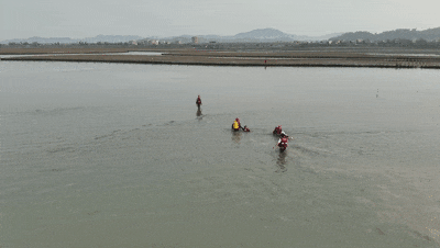 凌晨赶海太忘我，回头一看来时路没了……海边游玩注意潮汐变化！