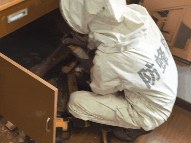 家中书房频繁出现“不速之客”，消防员清理结果太惊人