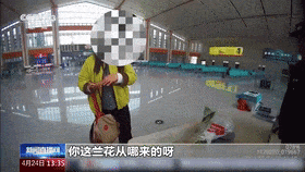 野外见到它别乱挖！两株以上即构成犯罪→