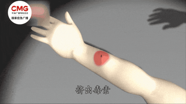 家中书房频繁出现“不速之客”，消防员清理结果太惊人