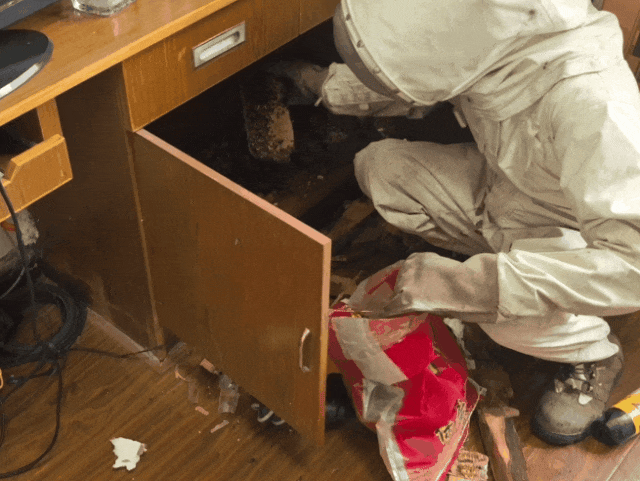 家中书房频繁出现“不速之客”，消防员清理结果太惊人