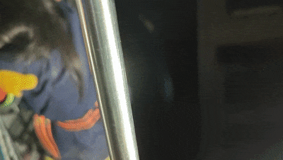 为出门找朋友，女孩竟徒手爬下7楼！结果"半途而废"了…