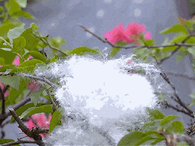 “根本不敢呼吸”！深圳网友：满地都是……提醒→