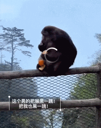 峨眉山景区发布情况通报