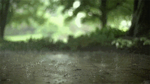 暴雨、大暴雨！河南强降水来袭→