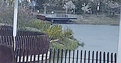 溺水已进入高发季，紧急提醒