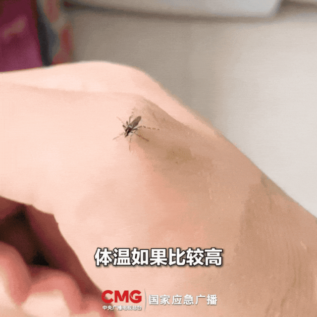 一群人里，蚊子为什么总叮你？