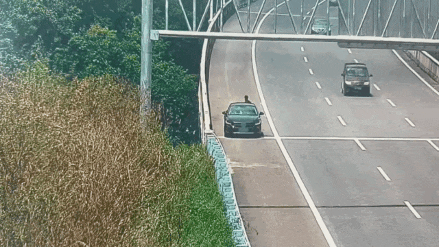 高速上男子痛苦停车,交警提醒:蒙个塑料袋呼吸 高速上男子痛苦停车,交警提醒:蒙个塑料袋呼吸
