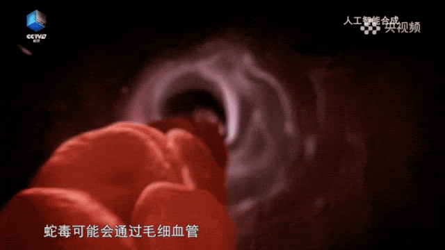 提醒！北京一区近期频繁有蛇出没，一周内接警12起