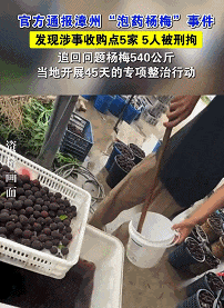 杨梅成了“顶流”!该怎么吃?该怎么选? 杨梅成了“顶流”!该怎么吃?该怎么选?