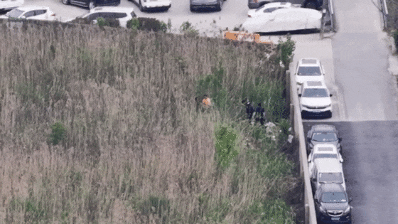 两位老人接连走丢 老人年龄你们敢不敢猜猜？