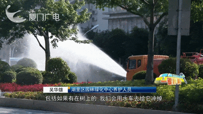 关窗!关窗!厦门街头大量出现,这些人群千万远离!网友:不要过来啊 关窗!关窗!厦门街头大量出现,这些人群千万远离!网友:不要过来啊
